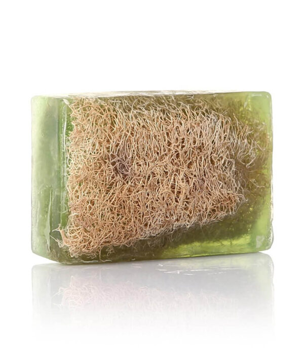 Aloe Vera Soap with Natural Fiber Hand Made Soap Dionesse 2